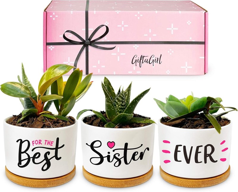 GIFTAGIRL Sister Gift - 3 Cute Succulent Plant Pots, Pink, Indoor Use