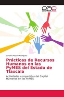 PráCticas De Recursos Humanos En Las Pymes Del Estado De Tlaxcala, Carolina ...