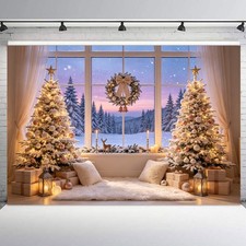 10x8ft Christmas Window Backdrop Winter Snowy Forest Background for Photography