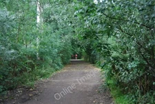 Photo 6x4 The Thames Path past St Paul's School Hammersmith/TQ2279  c2010