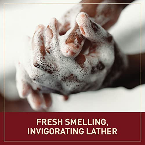 Health and Beauty Skin Cleaning Agent 3.17 Ounce Pack of 4