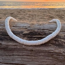 Hawaiian Store Premium Puka Shell Necklace