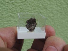 Meteorit - Campo del Cielo aus Argentinien