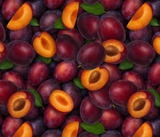 Food Fabric Fruits Veggies Packed Plum David Textiles YARD
