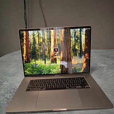Apple MacBook Pro 16'' 2019 Intel Core i7 16GB RAM 500GB SSD Gray macOS Sequoia