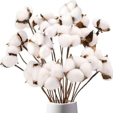 DomeStar Cotton Stems 8 Packs with 15 Bolls, 8PCS Natural Stems, White