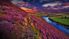 Landscape nature clouds sunset flowers river water grass Custom Gaming Mat Desk