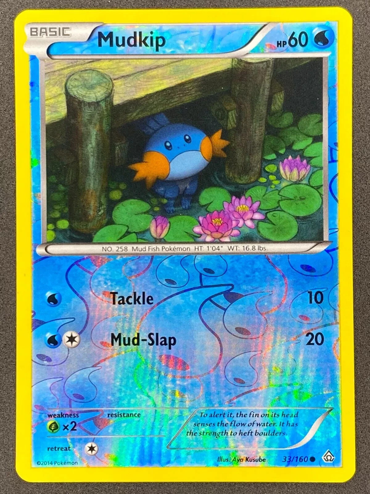 Pokémon Mudkip Reverse Holo 33/160 PRC Primal Clash LP/NM