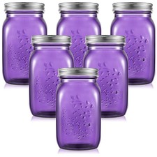 Tessco 6 Pcs 16 oz Colored Mason Jars with Li...