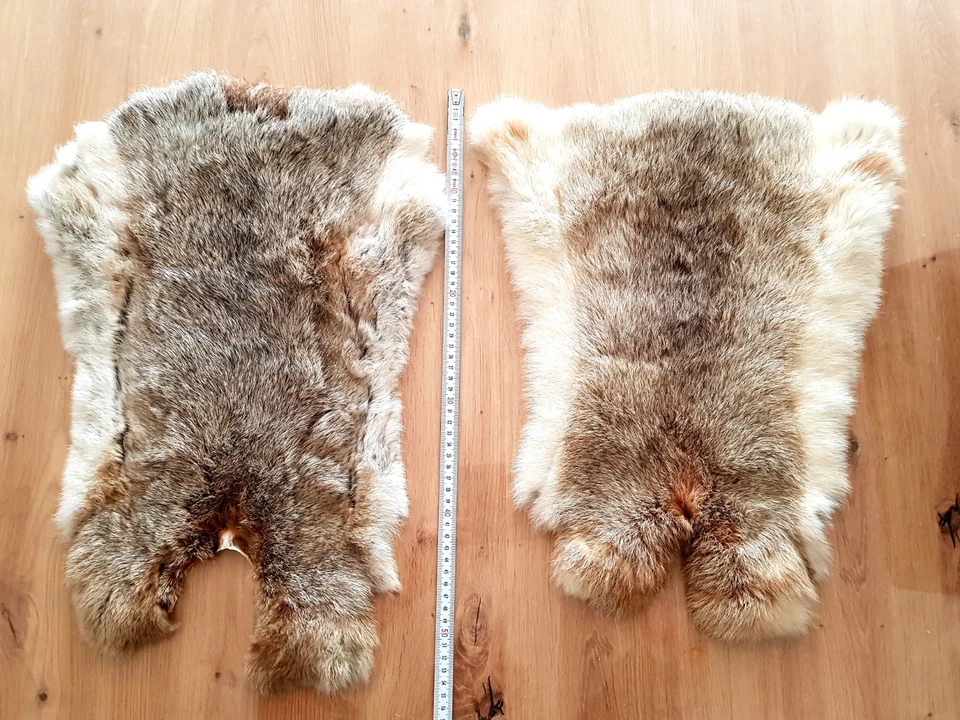 2x Original Kaninchenfell, Natur Felle, ca. 55–60 cm, Deko Handarbeit, selten - Bild 4 von 4