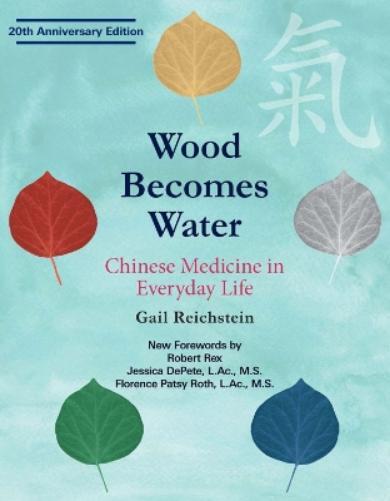 Gail Reichstein Wood Becomes Water (Tascabile)