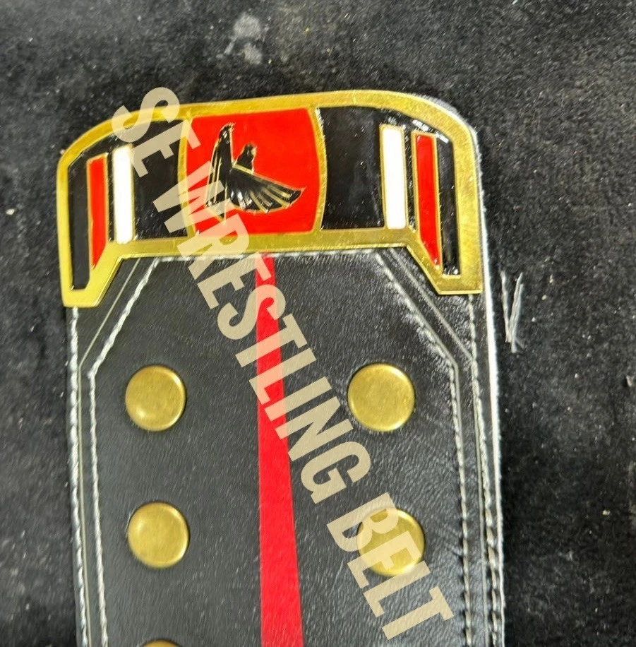 New Atlantic Falcons World Heavyweights Wrestling Championship Belt Adult Size - Image 4 of 4