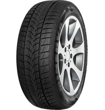 MINERVA FROSTRACK UHP 255/35 R18 94 V  M+S Pneumatico Invernali Gomma
