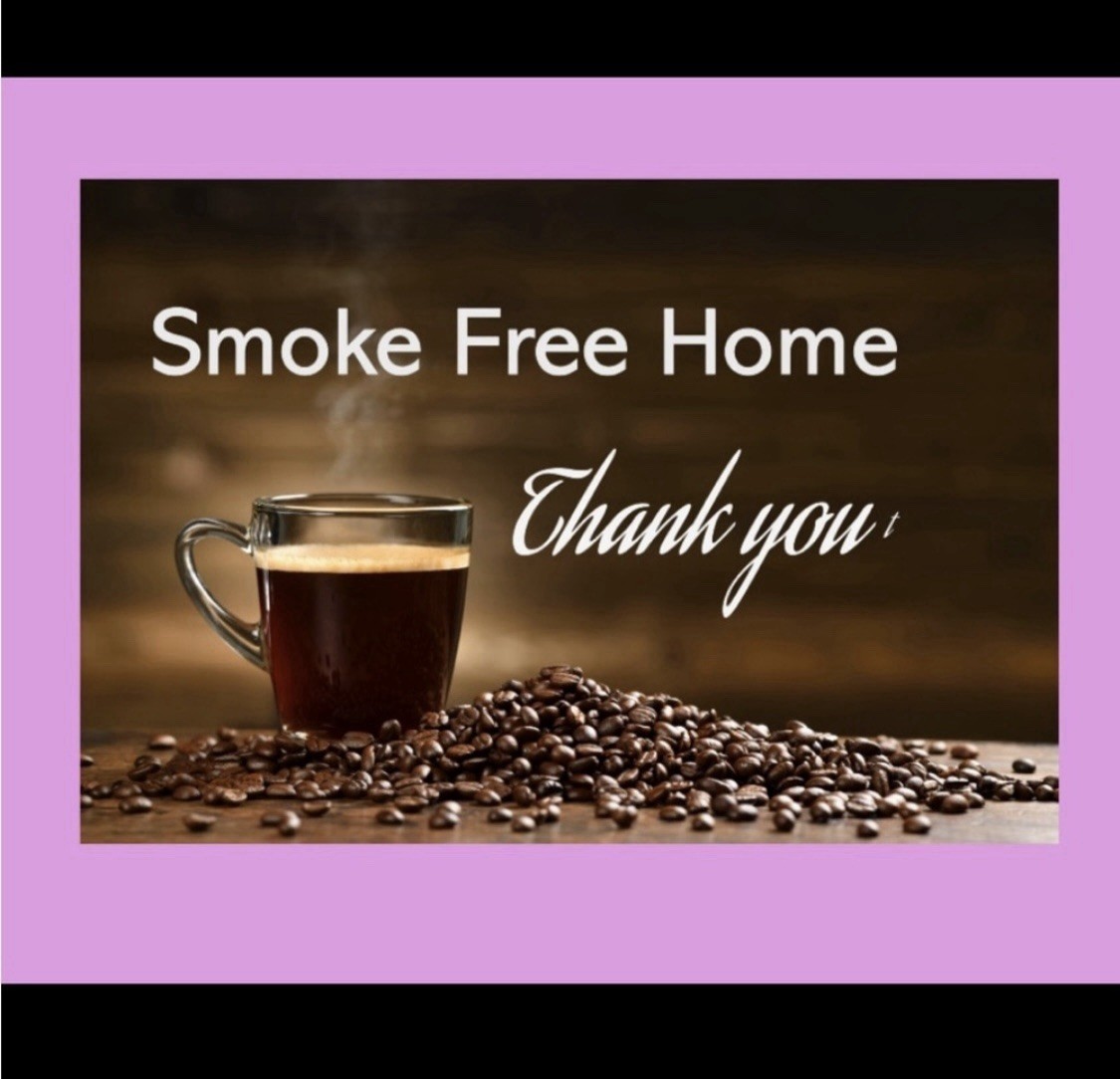 Flying Monkey Women’s Distressed Button Fly Tag S… - image 16