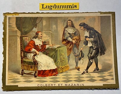 Chrom Kakao Fohlen Colbert und Mazarin