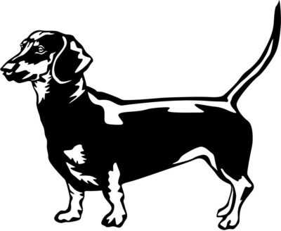 DACKEL TECKEL Aufkleber - Dackel Autoaufkleber - sticker - Dackel Kontur #12