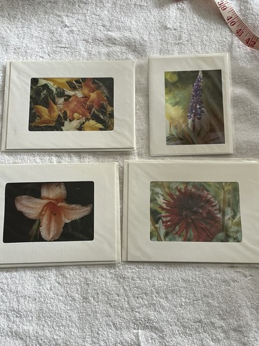Terry Clark 4 leere Notizkarten von schönen Fotos Blumen Lilien