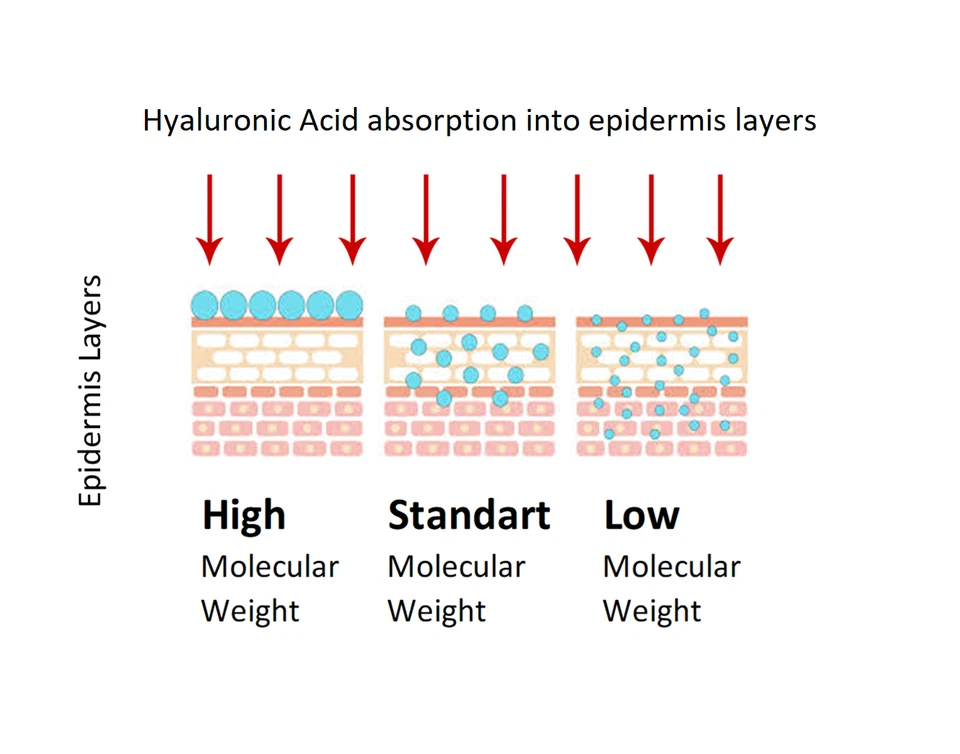 Suero de ácido hialurónico 100 % puro relleno antiarrugas péptidos Matrixyl 6 oz Foto 3 de 3