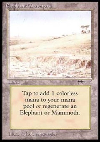 MTG English Elephant Graveyard Light Play Normal Arabian Nights