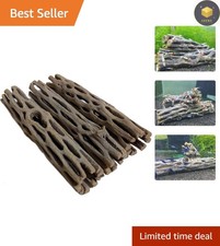 Natural Cholla Wood Aquarium Decoration - 4 Inch 3 Pack for Vibrant Habitats
