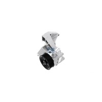 Hydraulikpumpe Lenkung Hydraulisch Dt Spare Parts FüR U.A. Iveco Daily