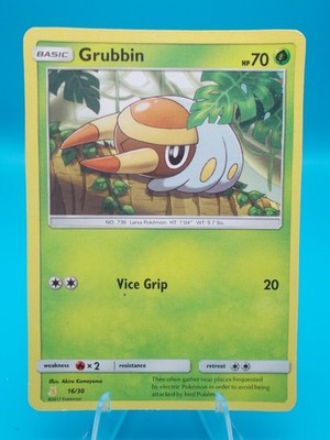 Grubbin 16/30 SM Trainer Kit: Lycanroc & Alolan Raichu Pokémon TCG Regular LP
