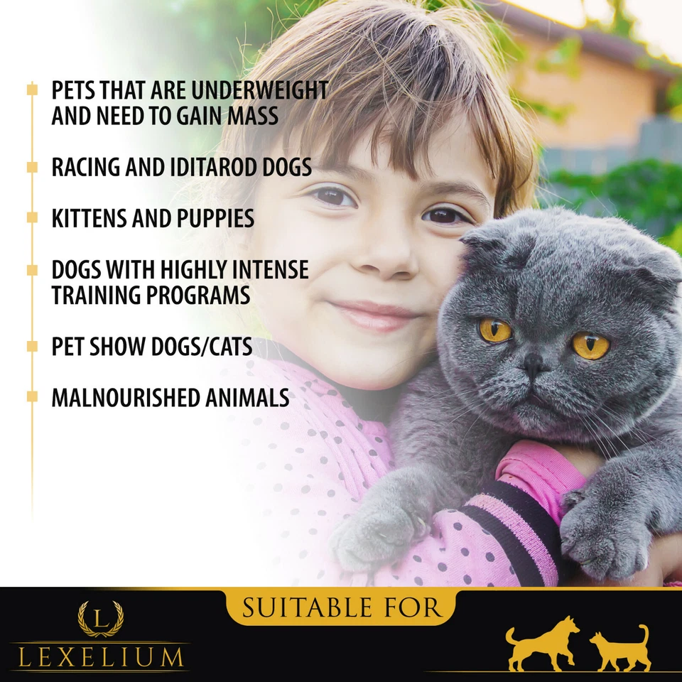 Suplemento para ganar peso y apetito para perros y gatos | Constructor muscular 100 % natural Foto 3 de 4