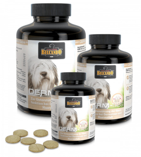 hundefutter chihuahua Chihuahua Senior rassespezifisches Trockenfutter von Yourdog fr Hunde   Haustierbedarf4you