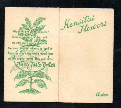 KENSITAS Silk Flowers Wix Tobacco 1st series small ASTER Folder B - Picture 2 of 2