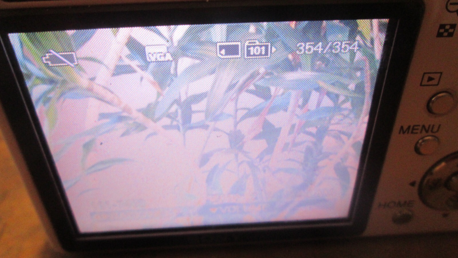 Picture 7 of 10