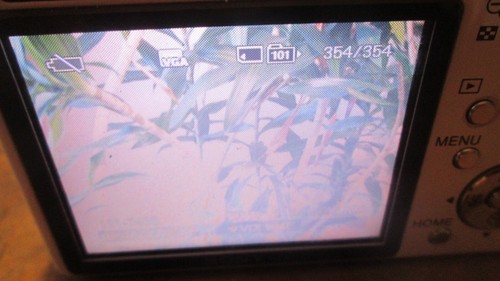 Sony Cyber-shot DSC-W80 7.2MP Digital Camera -White Bundle MPK-WB Marine pack - Picture 7 of 10