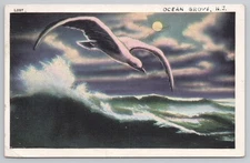 Ocean Grove NJ Seagull Over Ocean Postcard 1938 Vintage Bird Photochrome