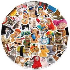 50x KATZEN Sticker Deko Aufkleber Meme Cats Labels Stickers Funny Lustige Memes