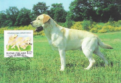 Retriever Puppies Dog White Labrador Puppies Finland Mint Maxi FDC 1998 