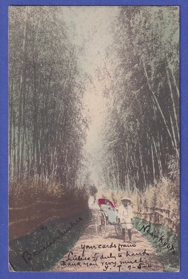 Japan 1901 old postcard Riksha in a bamboo wood mailed from KIOTO to Germany