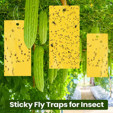Yellow Sticky Fly Trap Fruit Flies Insect Aphids Glue Catcher Bug Greenhouse