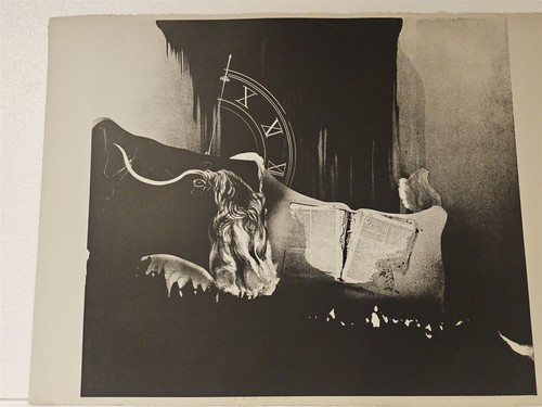 Litografía japonesa Michiko Hoshino 1985 original firmada 30" x 23" edición limitada 24/30 - Imagen 6 de 8