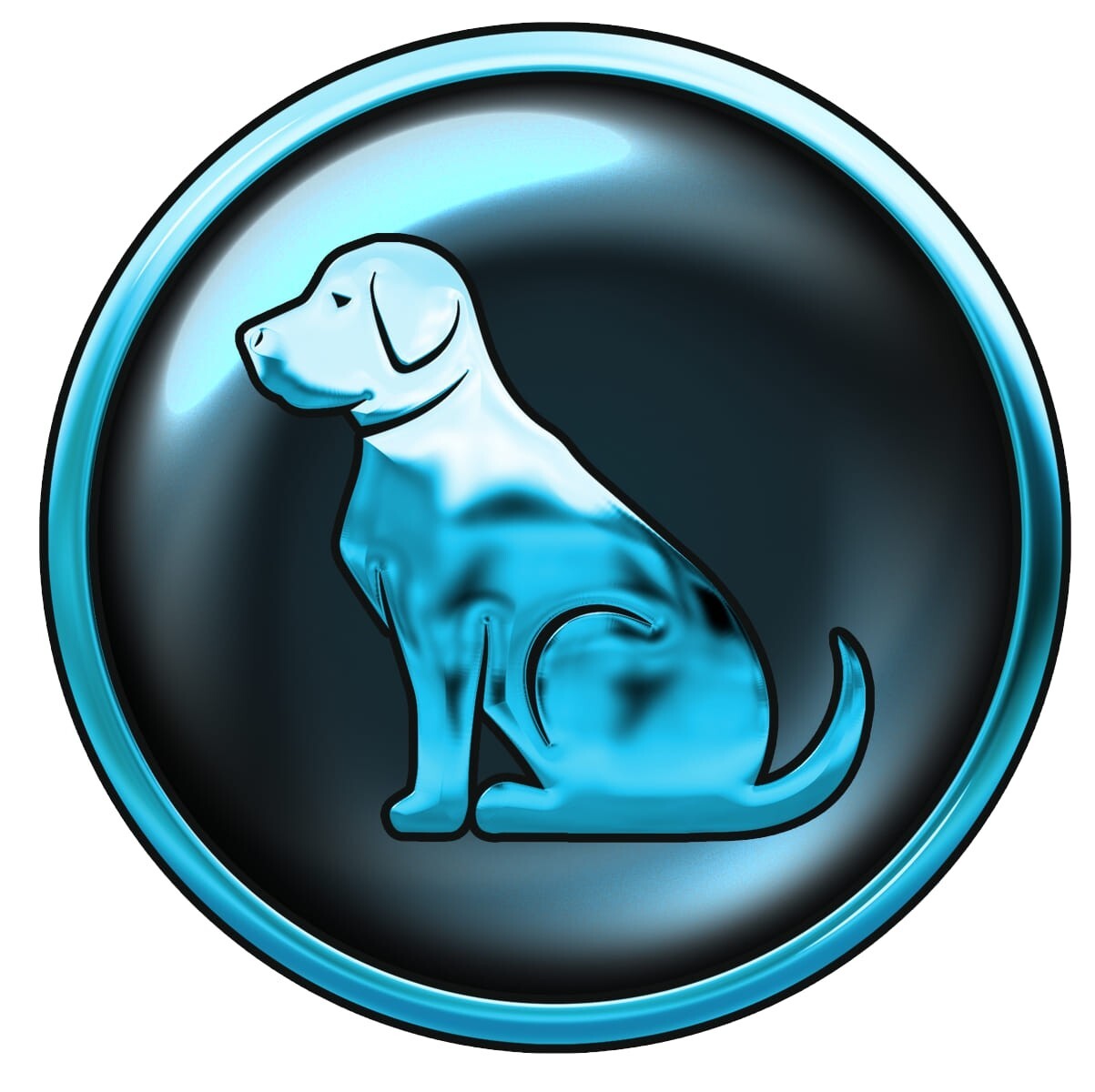 Dog Grooming Van eBay