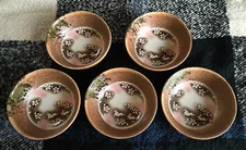 Dish set Set of 5 plates Rabbit pattern From Japan