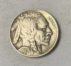 1929P  Buffalo Nickel - High Grade - Full Horn