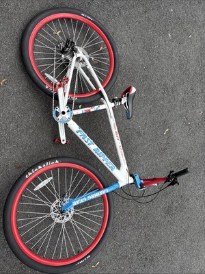 SE Bikes Mike Buff Fast Ripper 29''