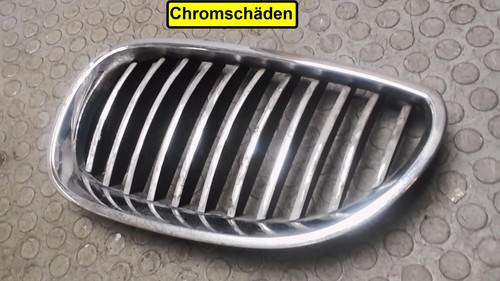 Kühlergrill Links BMW E60/E61 530d Sofortversand