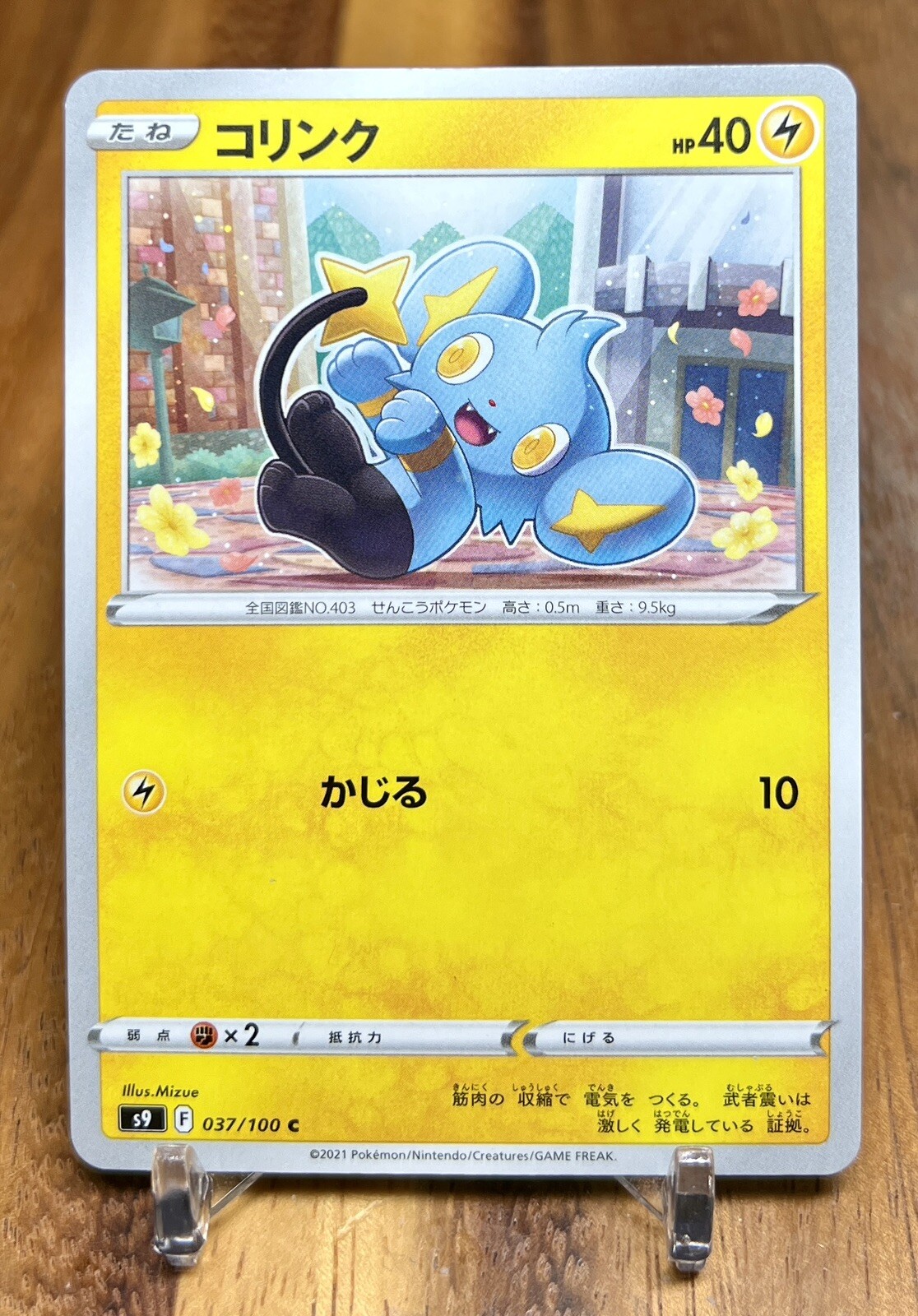 Shinx 037/100 S9 Star Birth Non Holo Pokemon Card Japanese NM