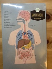 Anatomy Notebook Notepad Bundle
