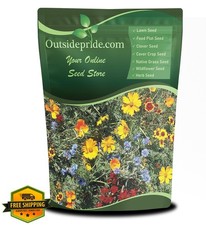 Outsidepride Gulf Coast Wildflower Seeds, 1 lb Perennial Annual Mix 44.99 per gallon