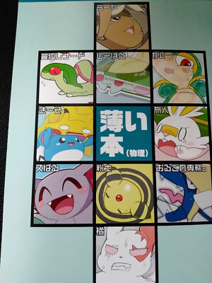 Doujinshi POKEMON Buizel, Flygon, Ampharos etc. (A5 16pages) usui hon butsuri