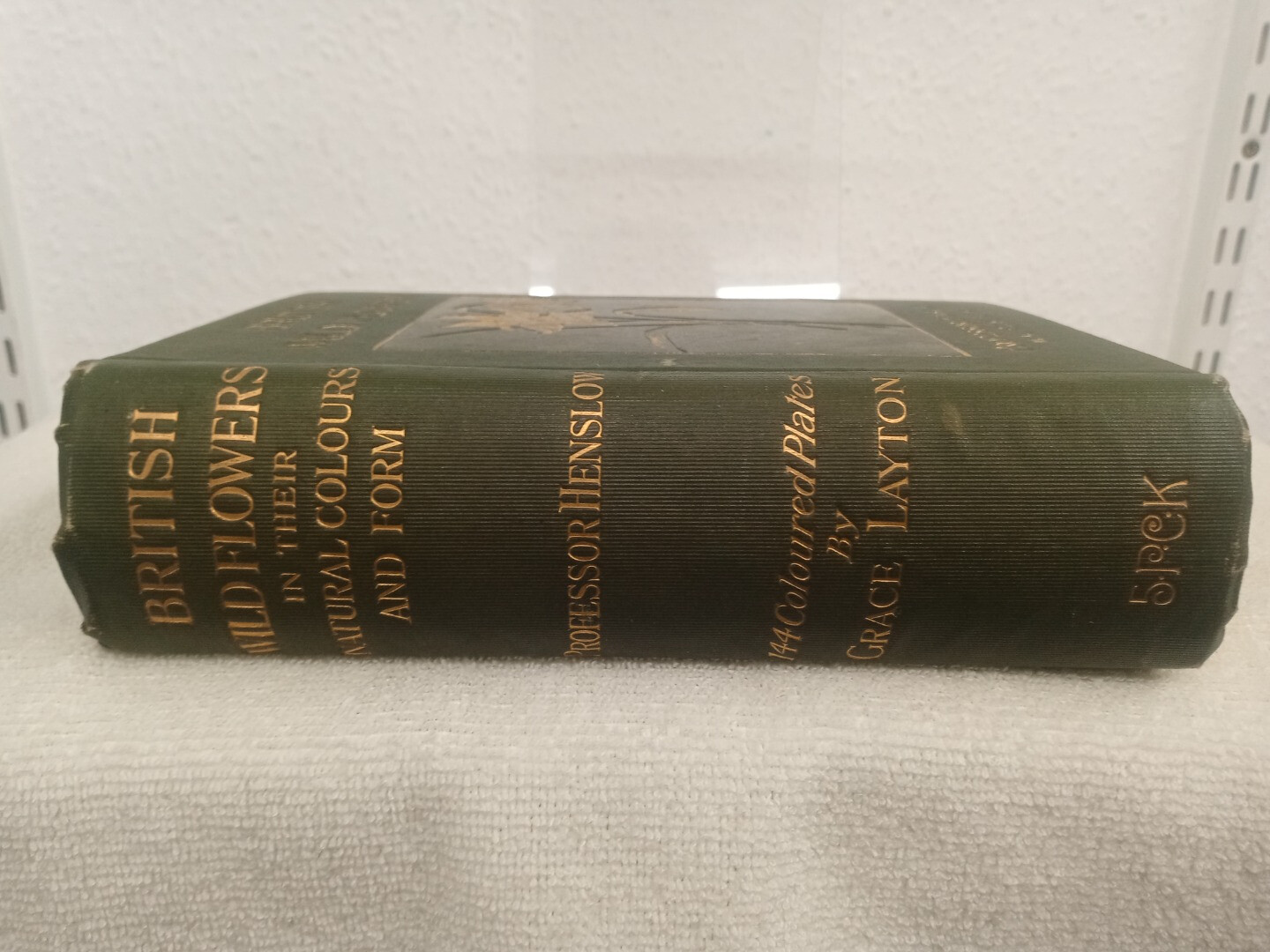 ANTIQUE BRITISH WILD FLOWERS BOOK BY PROF HENSLOW 1ST EDT 1910. CG G18