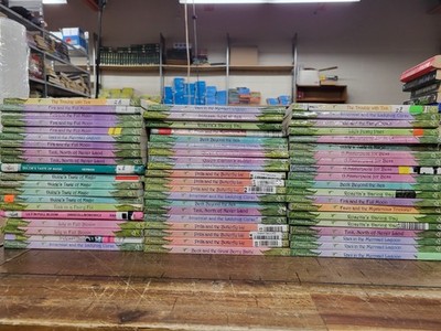 Pixie Hollow Series - Choose Your Own Books Set