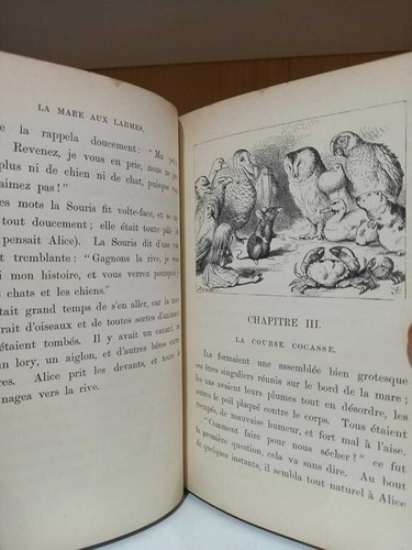 Aventures D Alice, 1869, First French Edition, Lewis Carrol - Picture 8 of 12