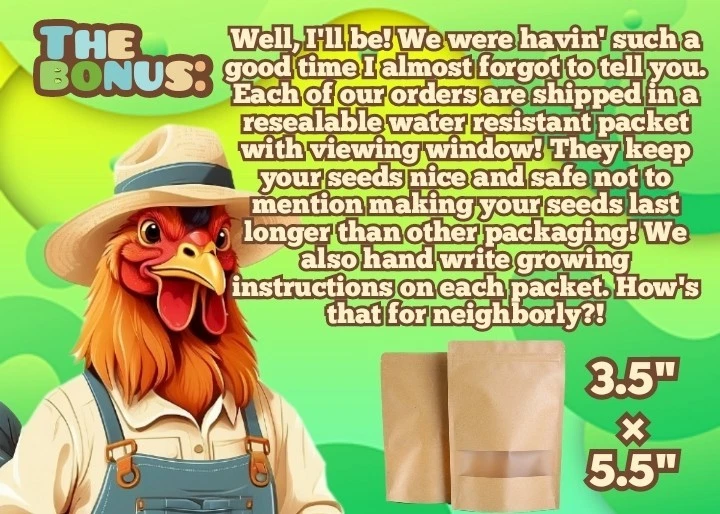 40 semillas de calabaza Waltham Butternut - ¡con bonificación! |Reliquia orgánica no transgénica Foto 3 de 4